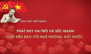 Học Bác mỗi ngày: Phát huy vai trò và sức mạnh của kiều bào với quê hương, đất nước