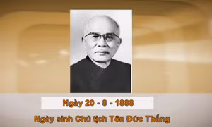 Khoảnh khắc & sự kiện ngày 20/8