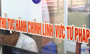 Hà Nội làm sạch dữ liệu hôn nhân trong 90 ngày