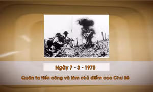 Khoảnh khắc & sự kiện ngày 7/3