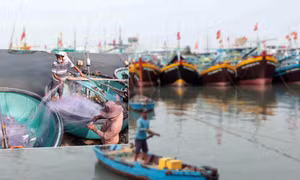 Ảnh thời sự - Tiêu điểm ngày 8/4/2025
