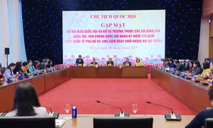 Chủ tịch Quốc hội Trần Thanh Mẫn gặp mặt nữ đại biểu Quốc hội
