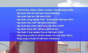 Chuyển giao 18 tập đoàn, tổng công ty về Bộ Tài chính