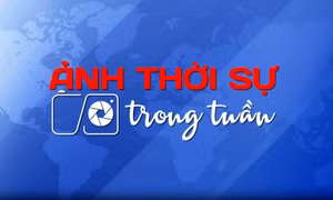 Ngày 16/2/2025: Việt Nam trong tuần qua ảnh