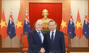 Tổng Bí thư Tô Lâm tiếp Thủ tướng New Zealand