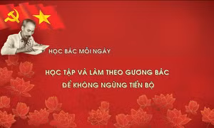 HỌC BÁC MỖI NGÀY: Học tập và làm theo gương Bác để không ngừng tiến bộ