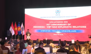 Vì tương lai thịnh vượng chung Việt Nam - Indonesia