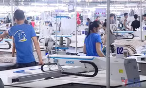 Công nhân sáng tạo bước vào kỷ nguyên mới