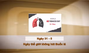 Khoảnh khắc & Sự kiện ngày 31/5