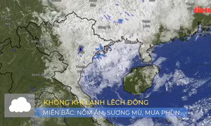 Thời tiết tuần 17/2 - 23/2: Nồm ẩm, sương mù kéo dài ở miền Bắc