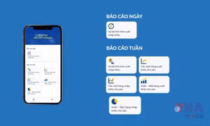 Số hóa báo cáo thống kê hàng hóa xuất nhập khẩu