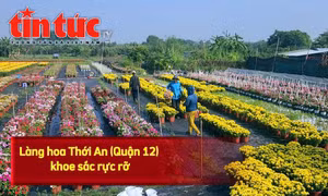 Làng hoa Thới An (Quận 12, TP Hồ Chí Minh) nhộn nhịp những ngày cận Tết.
