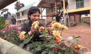 Vui Tết trong những ngôi nhà mới
