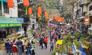 Chợ hoa Hàng Lược - Nơi lưu giữ nét đẹp truyền thống