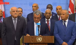 Thổ Nhĩ Kỳ và Palestine kêu gọi dừng chuyển giao vũ khí cho Israel