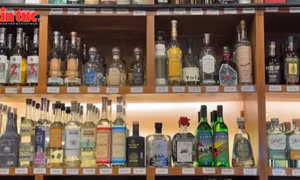 Ngành rượu tequila đứng trước rủi ro từ thuế của ông Trump