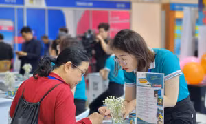 Doanh nghiệp sẵn sàng phục vụ nhu cầu du lịch tăng cao dịp Tết Nguyên đán 2025