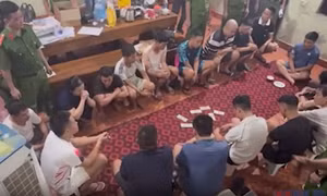 Phú Thọ triệt xóa sới bạc quy mô lớn 