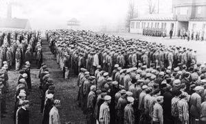 Hành trình báo thù: Mossad và vụ ‘bắt cóc thế kỷ’ kẻ chủ mưu thảm họa Holocaust - Kỳ 2