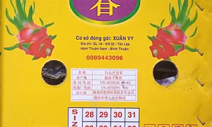Trung Quốc giảm nhập khẩu thanh long Việt Nam