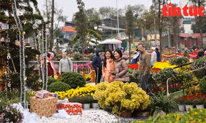 Lễ hội hoa Xuân Quan 2023 thu hút đông đảo du khách