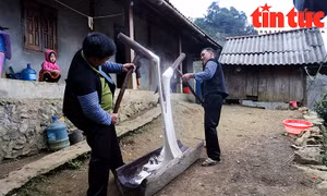 Giã bánh dày, nét văn hóa đặc sắc trong dịp lễ, tết của người Mông 