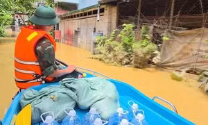 Bản lĩnh vùng tâm lũ