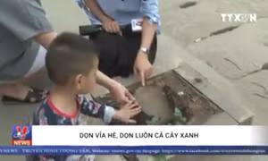 Dọn vỉa hè, dọn luôn cả cây xanh