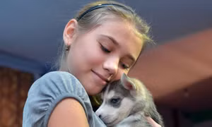 Tổng thống Putin tặng cún husky làm quà năm mới 