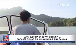 Vườn quốc gia Ba Bể vẫn bị chặt phá bất chấp chỉ đạo giữ rừng