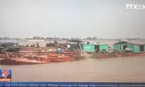 Cát tặc tung hoành khu vực cửa biển Ba Lạt