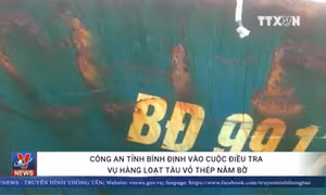 Công an tỉnh Bình Định vào cuộc điều tra vụ hàng loạt tàu vỏ thép nằm bờ