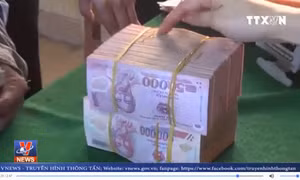 Vỡ nợ tín dụng đen càn quét làng biển