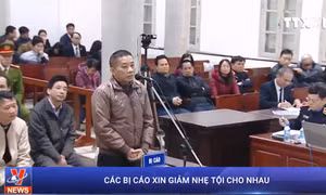 Phiên tòa xét xử Trịnh Xuân Thanh và đồng phạm: Các bị cáo tự bào chữa gỡ tội cho mình