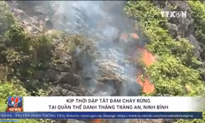 Cháy rừng tại quần thể danh thắng Tràng An, Ninh Bình