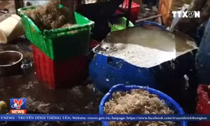 Phát hiện gần 2 tấn nông sản ngâm hóa chất độc hại