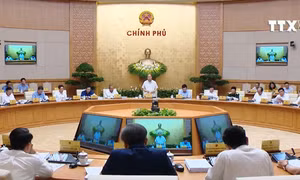 Thủ tướng yêu cầu thanh tra và công khai việc điều chỉnh giá điện