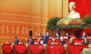 Các đại biểu đặc biệt quan tâm tới xây dựng, chỉnh đốn Đảng