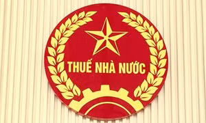 Chuẩn hóa mã số thuế - đòn bẩy minh bạch môi trường đầu tư