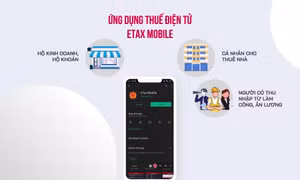 Người nộp thuế có thể được hoàn thuế trong 3 ngày