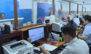 Bộ Công an ban hành mẫu giấy phép lái xe mới