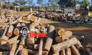 Tin nóng trong nước nghe nhanh sáng 7/2