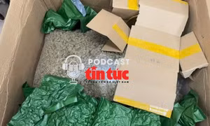 Tin nóng trong nước nghe nhanh sáng 20/2