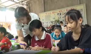 Lớp học hè miễn phí nơi cửa thiền