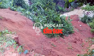 Tin nóng trong nước sáng 28/7/2025