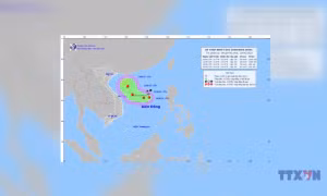 Những khu vực nào có nguy cơ bị ảnh hưởng nếu bão số 1 hình thành?