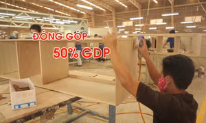 Gỡ nỗi lo hình sự hóa - Doanh nghiệp tư nhân tự tin vươn mạnh
