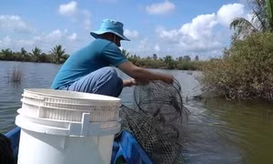 Ứng dụng công nghệ mới để nuôi trồng thủy sản đạt hiệu quả cao