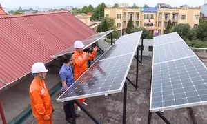 Netzero - Bộ đôi thúc đẩy chuyển dịch năng lượng xanh