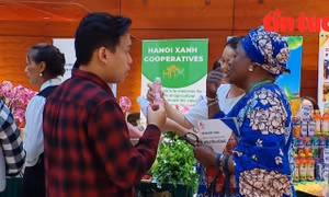 Doanh nghiệp đồng hành đưa Việt Nam thành điểm đến trên bản đồ Halal toàn cầu